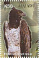 Martial Eagle Polemaetus bellicosus  2003 Birds of Africa Sheet