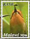Böhm's Bee-eater Merops boehmi  2016 Birds of Malawi  MS MS MS