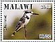 Pied Kingfisher Ceryle rudis  2018 Malawi indigenous birds Sheet
