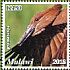 Hamerkop Scopus umbretta  2018 Malawi indigenous birds  MS MS