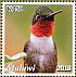 Ruby-throated Hummingbird Archilochus colubris  2018 Malawi indigenous birds  MS MS MS MS