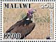 Lappet-faced Vulture Torgos tracheliotos  2018 Vultures Sheet