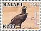 Cinereous Vulture Aegypius monachus  2018 Vultures Sheet