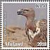 White-rumped Vulture Gyps bengalensis  2018 Vultures  MS MS MS