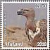 White-rumped Vulture Gyps bengalensis