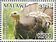 Wild Turkey Meleagris gallopavo  2019 Domesticated birds 6v sheet