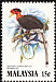 Helmeted Hornbill Rhinoplax vigil  1983 Hornbills of Malaysia 