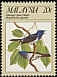 Black-naped Monarch Hypothymis azurea  1988 Protected passerine birds 