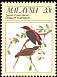 Scarlet-backed Flowerpecker Dicaeum cruentatum  1988 Protected passerine birds 