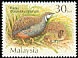 King Quail Synoicus chinensis  2001 Quail and Partridges 