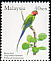 Long-tailed Parakeet Psittacula longicauda