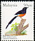 White-rumped Shama Copsychus malabaricus