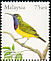 Ornate Sunbird Cinnyris ornatus