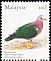 Common Emerald Dove Chalcophaps indica