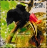 Rhinoceros Hornbill Buceros rhinoceros