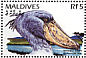 Shoebill Balaeniceps rex