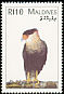 Crested Caracara Caracara plancus  1997 Birds of the world 