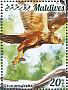 Western Marsh Harrier Circus aeruginosus  2015 Birds of prey Sheet