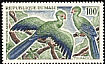 Guinea Turaco Tauraco persa  1965 Birds 