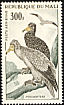 Egyptian Vulture Neophron percnopterus  1965 Birds 