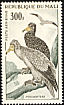 Egyptian Vulture Neophron percnopterus