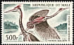 Goliath Heron Ardea goliath  1965 Birds 