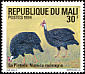 Helmeted Guineafowl Numida meleagris  1994 Birds 