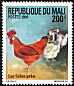 Red Junglefowl Gallus gallus  1994 Birds 