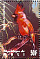 Northern Cardinal Cardinalis cardinalis  1995 Birds of the world Sheet