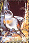 Red Siskin Spinus cucullatus  1995 Birds of the world Sheet