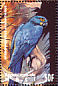 Hyacinth Macaw Anodorhynchus hyacinthinus  1995 Birds of the world Sheet
