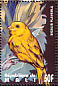 Saffron Finch Sicalis flaveola  1995 Birds of the world Sheet