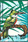 Amazon Kingfisher Chloroceryle amazona  1995 Birds of the world Sheet