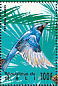 Swallow Tanager Tersina viridis