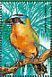 Whooping Motmot Momotus subrufescens  1995 Birds of the world Sheet