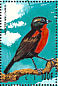 White-browed Meadowlark Leistes superciliaris  1995 Birds of the world Sheet