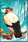 King Vulture Sarcoramphus papa  1995 Birds of the world Sheet