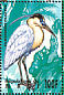 Capped Heron  Pilherodius pileatus