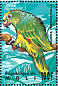 Yellow-crowned Amazon Amazona ochrocephala  1995 Birds of the world Sheet