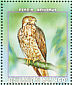 European Honey Buzzard Pernis apivorus  1999 Raptors Sheet