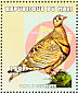 Lichtenstein's Sandgrouse Pterocles lichtensteinii  2000 Birds of Africa Sheet