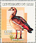 Egyptian Goose Alopochen aegyptiaca  2000 Birds of Africa Sheet