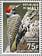 Cardinal Woodpecker Dendropicos fuscescens  2022 Birds of Mali Sheet