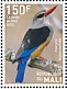 Grey-headed Kingfisher Halcyon leucocephala  2022 Birds of Mali Sheet