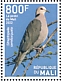 Red-eyed Dove Streptopelia semitorquata  2022 Birds of Mali Sheet
