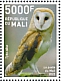 Western Barn Owl Tyto alba  2022 Birds of Mali Sheet