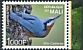 Indian Nuthatch Sitta castanea  2022 Endemic fauna of India 8v sheet