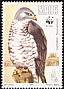 European Honey Buzzard Pernis apivorus  1991 WWF Strip