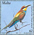 European Bee-eater  Merops apiaster