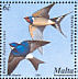 Barn Swallow Hirundo rustica